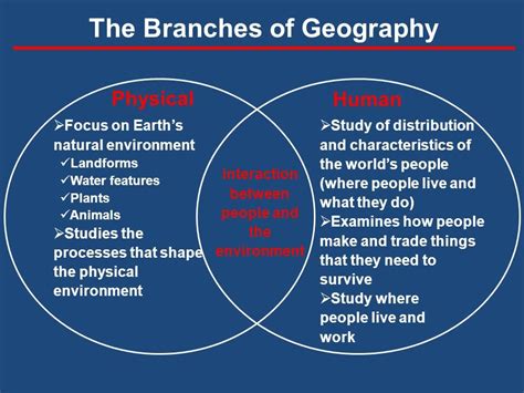 Geography: The Branches