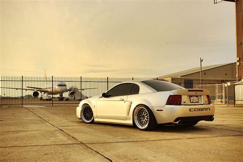 Slammed 2000 Mustang Cobra R - Goimages Vision