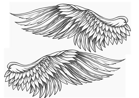 Pin by Kim Rangel on Tattoo ideas | Angel wings tattoo stencil, Wings ...