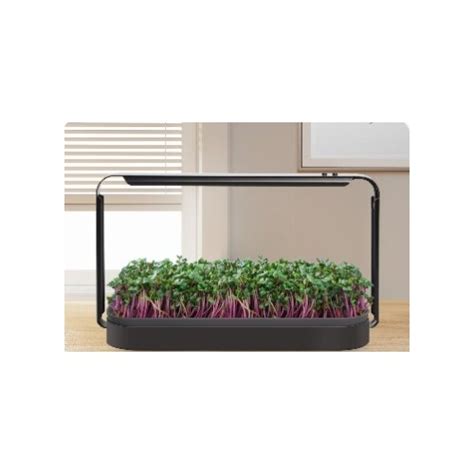 Home Microgreens Grow Kit