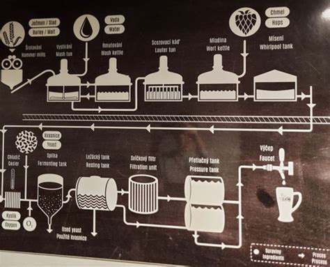 Steps of the craft beer brewing process - YoLong Brewtech