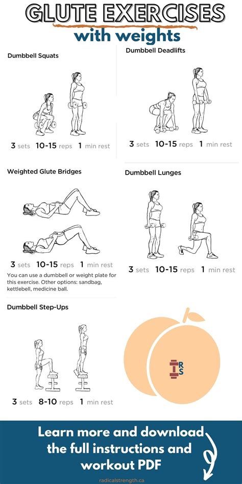 The 5 best dumbbell glute exercises workout pdf – Artofit