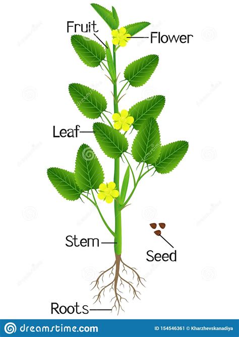 Different Diseases of Jute: The Challenges for Jute Cultivation : Plantlet