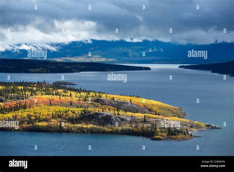 Bove Island, Tagish Lake, Yukon Territories, Canada Stock Photo: 67905985 - Alamy