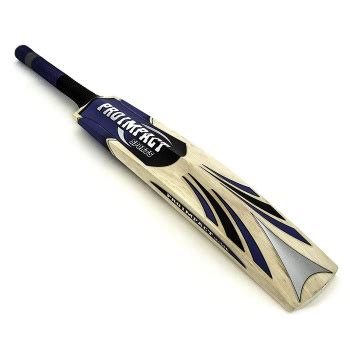 5 Best Cricket Bats In 2023: Reviews & Ratings