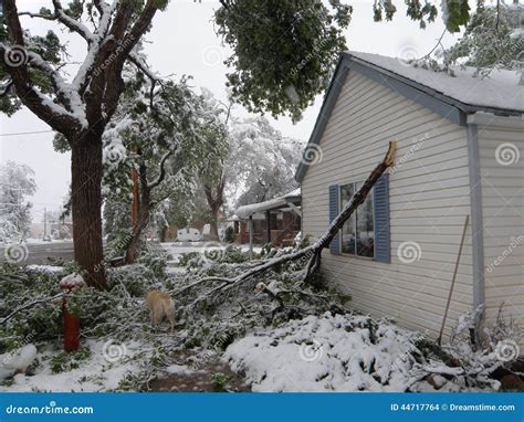 Broken Tree, Winter Storm Damage. Stock Photo - Image of falls, residential: 44717764