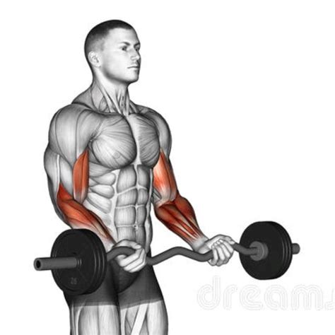 Biceps Curl French by Zsolt Dobroczki - Exercise How-to - Skimble