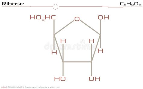 Ribose Molecule, Scientific Molecular Model, 3d Rendering Stock ...