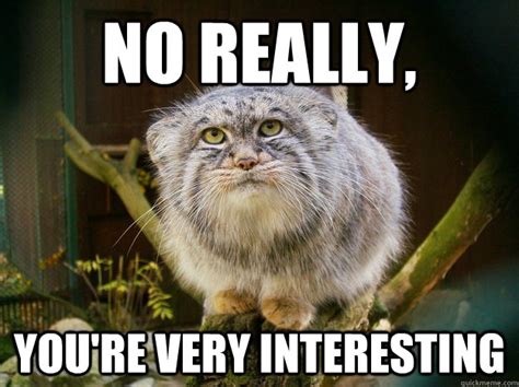 No really, you're very interesting - Sarcastic Manul - quickmeme