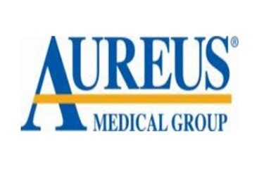 Travel Therapy Jobs Leader Aureus Medical Addresses EHRs And The Travel Physical Therapist