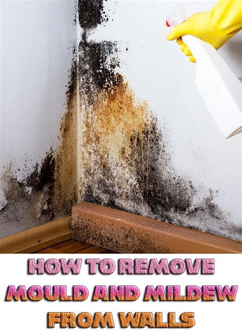 How to Remove Mould and Mildew from Walls