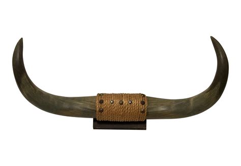 Cattle Horn Bull Chairish 1950s - horn png download - 3024*2080 - Free Transparent Cattle png ...