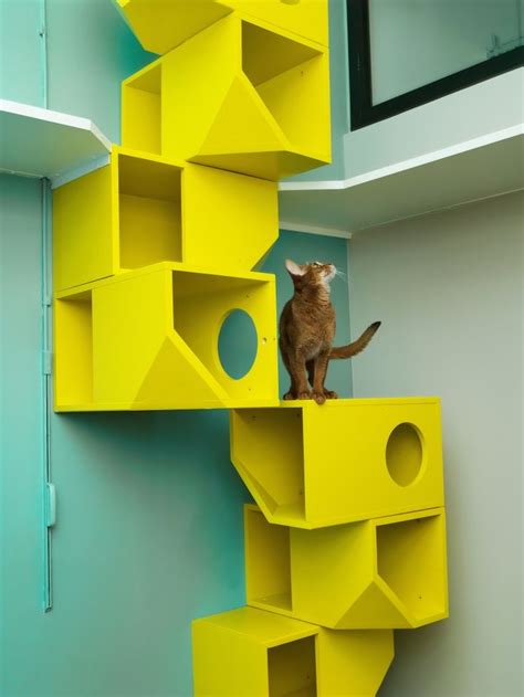 9 of the Craziest Cat-Climbing Structures in the World | Cat climbing ...