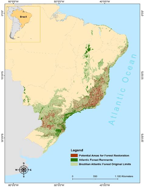 Forests | Free Full-Text | Governing and Delivering a Biome-Wide Restoration Initiative: The ...