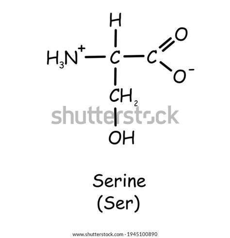 Amino Acid Chemical Structure Serine Ser Stock Illustration 1945100890 ...