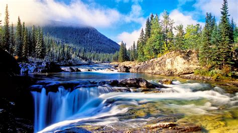 Nature Mountain Dense Spruce Forest, River Rock Waterfall Background ...