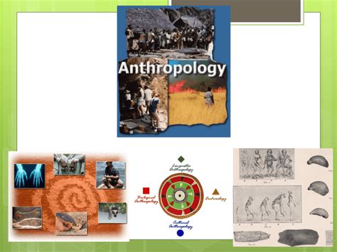 Physical Anthropology