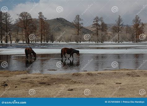 Bayankhongor Province Stock Photos - Free & Royalty-Free Stock Photos from Dreamstime