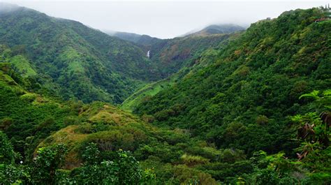 Birds eye view of green mountains, Hawaii, Maui, tropical forest ...