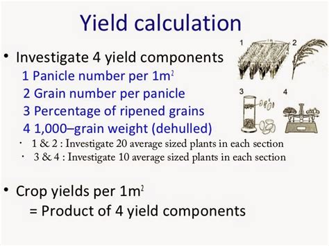 Nature and Farming: Rice Production : Chapter 18 - Yield calculation