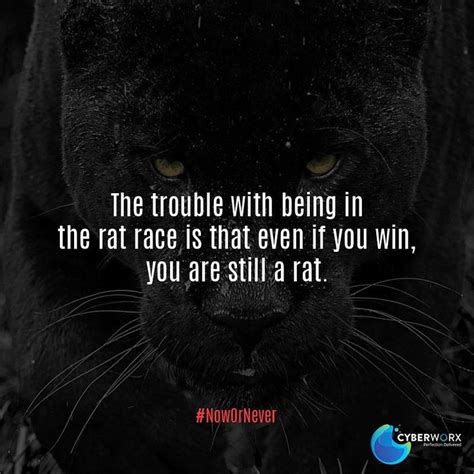 The trouble with being in the rat race is that even if you win, you are still a rat… | Business ...