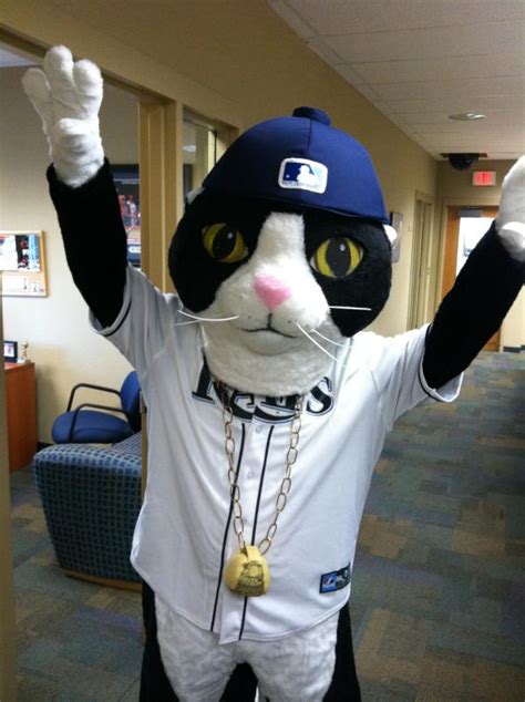 Catsparella: Tampa Bay Rays DJ Kitty Mascot Comes To Life On The Field ...