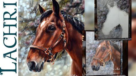 43++ Horse Drawing Pictures Step By Step | Insende