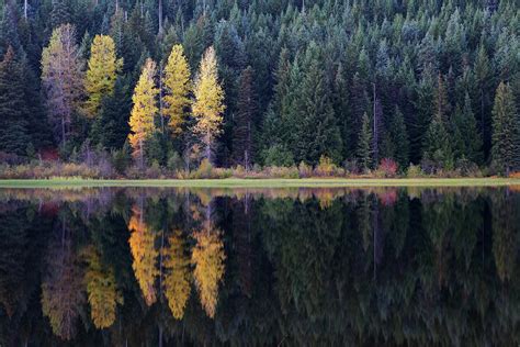 Trillium Lake Oregon by Davealan