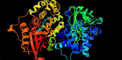 Proteins reveal intricate details about life under the microscope