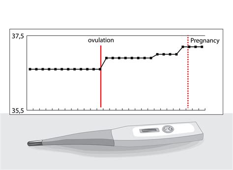 Does Birth Control Affect Basal Body Temperature? | Fleur Women's Health