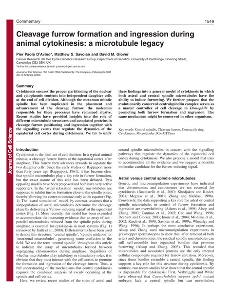 (PDF) Cleavage furrow formation and ingression during animal cytokinesis: A microtubule legacy