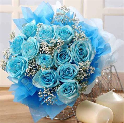 Rose Flower Blue Colour Offers Sale | www.olympcsmv.cz