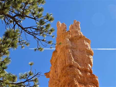 Bryce Canyon Blue Sky Hiking - Free photo on Pixabay - Pixabay