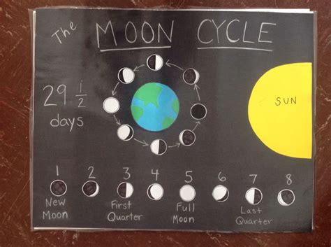 Moon cycle anchor chart. | Anchor charts, Moon cycles, English vocabulary