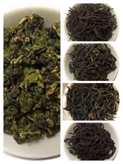 Oolong Tea Sample 3 – New Century Tea Gallery