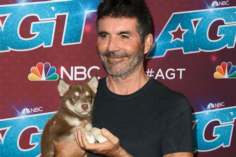 AGT 2022: Simon Cowell Brought Puppy to AGT Live Shows | NBC Insider