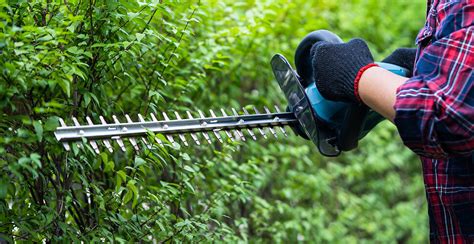 Hedge Trimmer Safety Tips for Beginners - HSD Online