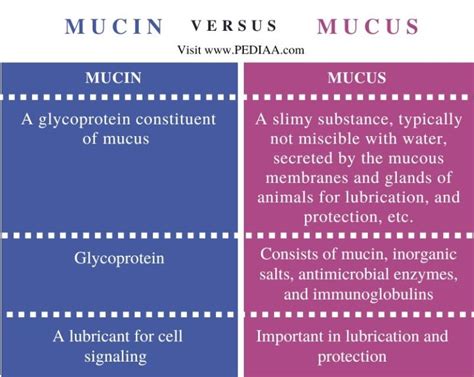 What is the Difference Between Mucin and Mucus - Pediaa.Com