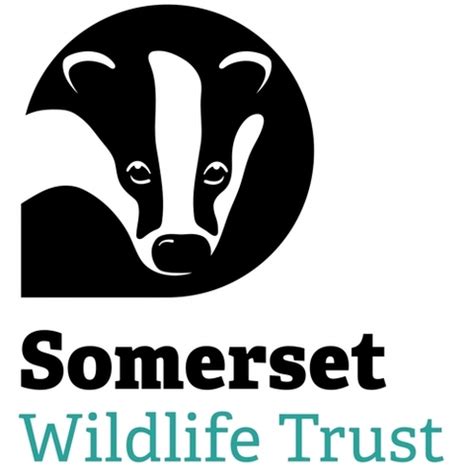 Online Shop | Somerset Wildlife Trust