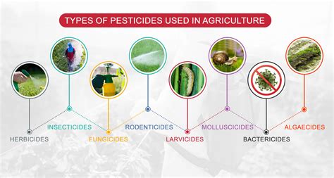 Types Of Pesticides Types Of | Hot Sex Picture