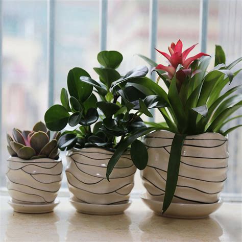 Indoor Planters And Pots - Garden Plant