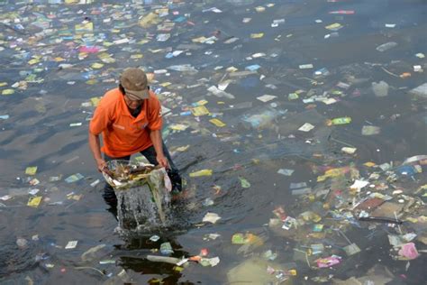 Largest ocean clean-up project ever will attempt to sweep the Great Pacific Garbage Patch ...