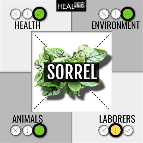 sorrel health benefits Archives | HEALabel