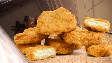 BIGGEST BOX OF CHICKEN NUGGETS IN THE WORLD! - YouTube