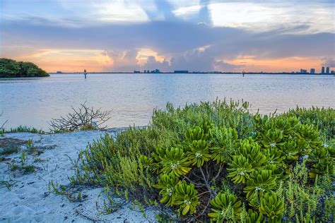 Biscayne Bay Sunset Photograph by Manuel Lopez