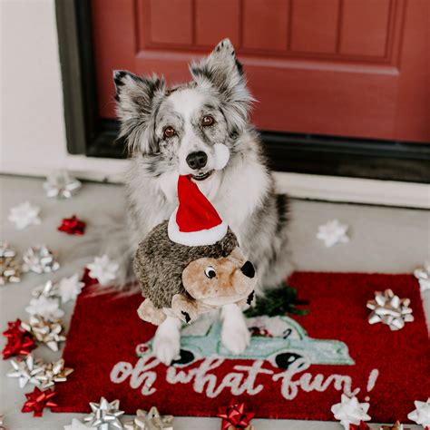 CHRISTMAS GIFTS FOR DOGS | 12 GIFTS YOUR PUP IS SURE TO RUV