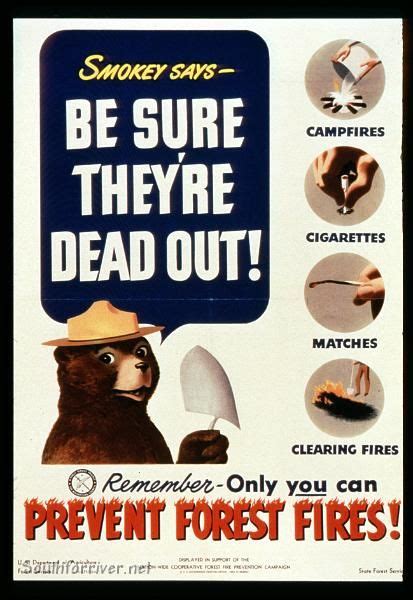 Smokey Bear Posters/0021 | Smokey, Smokey the bears, Poster