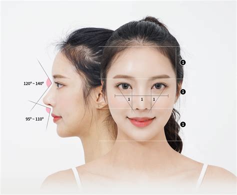 Golden ratio for female Asian noses | Khuôn mặt, Người mẫu châu á, Tỷ lệ vàng
