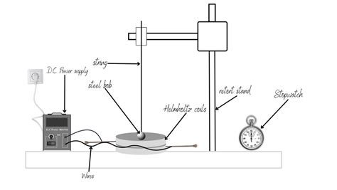 Everything You Need To Know About IB Physics IA Diagrams