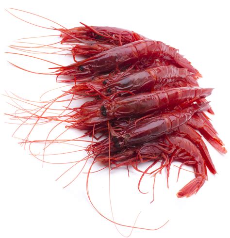 Carabineros Japan M, Size, 30/31, 1kg – Good Purveyor